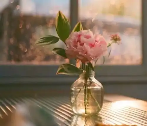 最美的她们就在你我身边