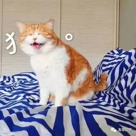 你的头像暴露了心理年龄小学初中高中大学你在哪一类