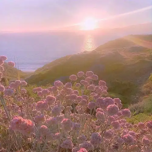 治愈系朋友圈背景图可爱爆炸