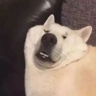 沙雕情头,沙雕跨年文案