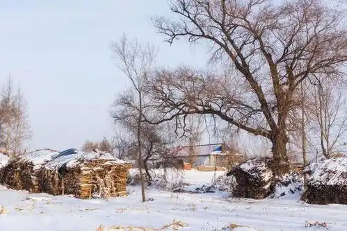 冷不冷,就看七月十五,今年七月十五已过今年冬天会很冷吗
