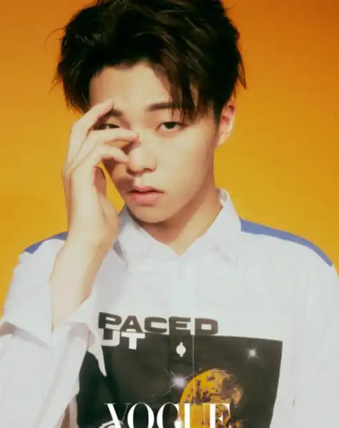 陈立农是低配版王俊凯吧,强凹老板造型,衣服的边际线都被扣没了