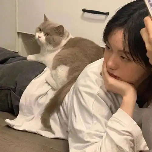 对象不是人系列情头可爱有趣的人儿必备,假期换起来