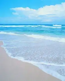 这样清澈的海水只有在海边才可以领略