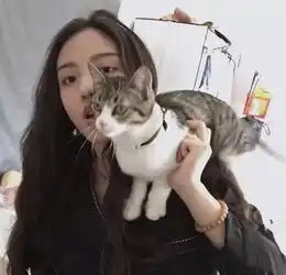 要怎样打开12星座厚重的心门