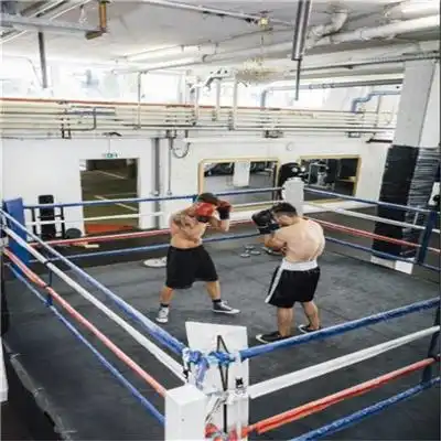 拳击资讯拳击行情拳击动态热点知识八方资源网