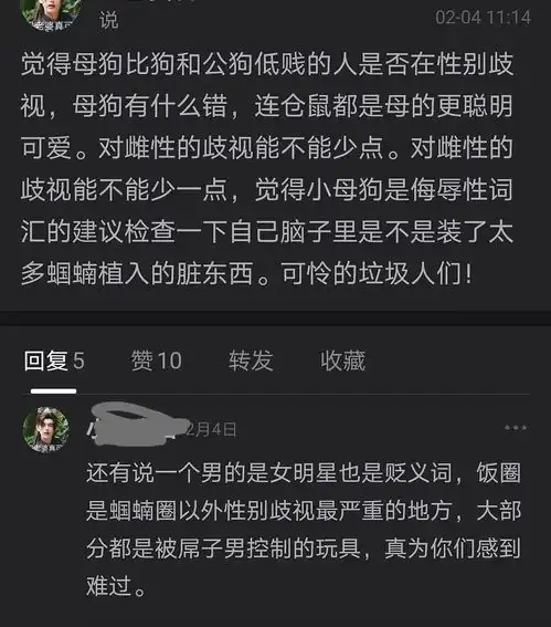 说饭圈女孩是男屌的玩具,用母狗来侮辱别人的,有...