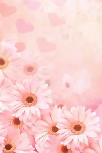 炫彩花舞植物苹果手机高清壁纸640x960爱思助手