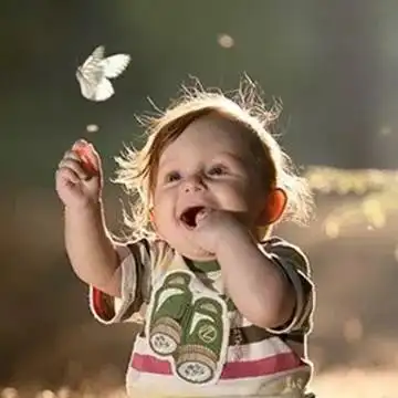 朱建军快乐的要点无忧