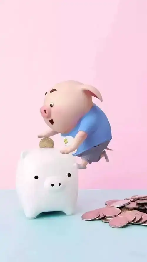 可爱小猪,萌翻了