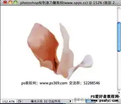 photoshop绘制母亲节逼真的康乃馨花朵8