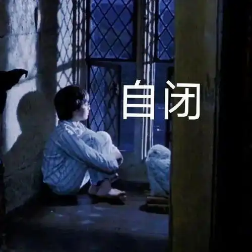 哈利波特表情包今天不学习明天变垃圾