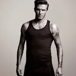 沙漠蜥蜴阳光干涸苹果手机高清壁纸2048x2048爱思助手