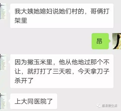 就为二分地亲兄弟动刀,儿子闺女女婿齐上阵,致一人死亡