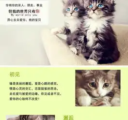 猫系列的可爱头像宠物