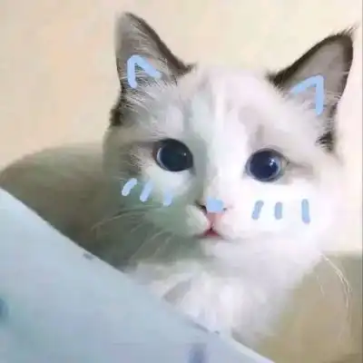 小猫卡通头像哈比人