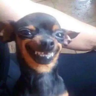 逗比沙雕搞笑头像清晰