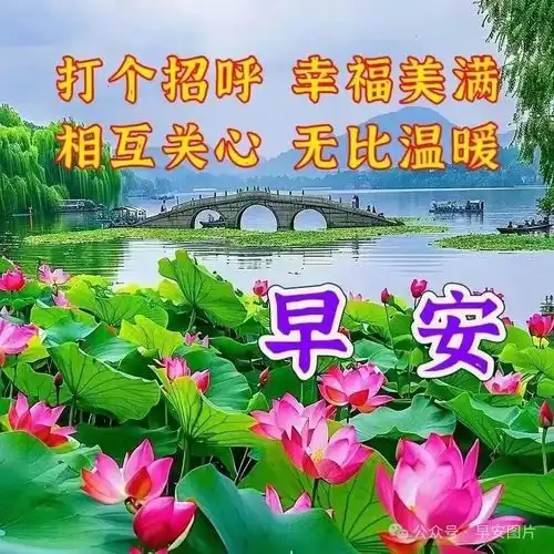 2024年4月24日周三最新早安祝福语图片,愿时光不老,岁月静好