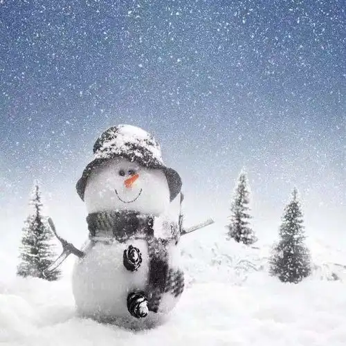 都江堰下雪啦2021首届国际灯笼节飘雪狂欢节,1月10日盛大开幕,领福利