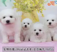 黄页88高清图片