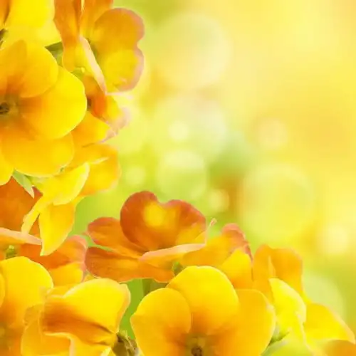 聊天结束,别总说晚安,改用这些结束语,更容易撩动女人的心