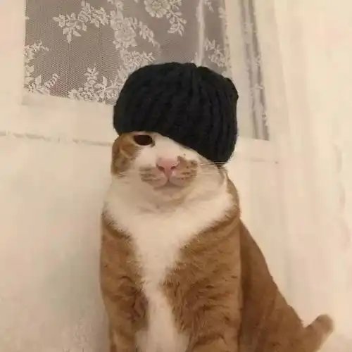 每天都有新的小帽子,为什么不开心