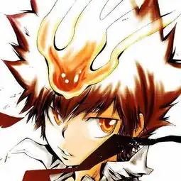 求一家庭教师reborn纲吉的qq清晰头像图片cos也可