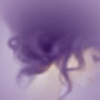 韩国插画少女幻闪头像好不好使用技巧zol软件百科