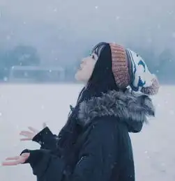 风信子第12章雪舞萦心