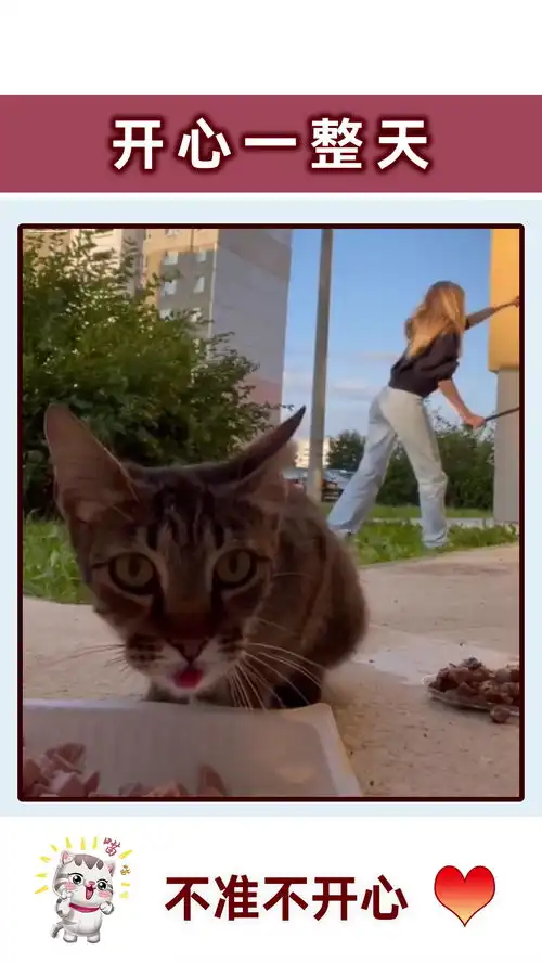 开心系列3猫咪后面是不是有人搞笑视频萌宠快乐源泉猫咪的迷惑行为