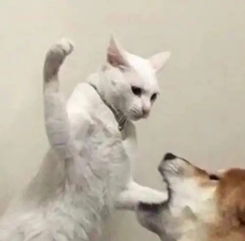 非正常人类研究中心专用头像