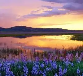 一周新闻热点第十八期黑龙江佳木斯