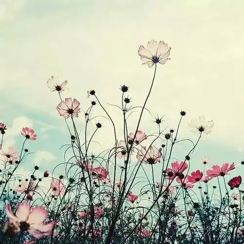 与老实之人来往,与温和之人交谈,与沉稳之人共事