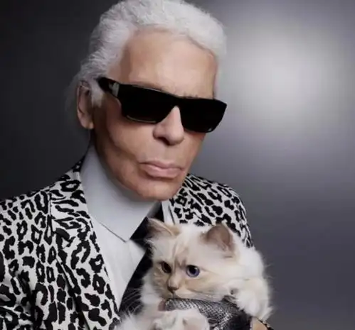 85岁老佛爷离世数亿资产留给宠物,网友感慨人不如猫