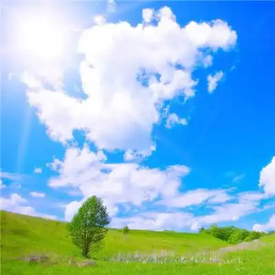 运气好的风景微信头像