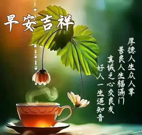 5.13.早安美图世间最美好的养生,是静享时光