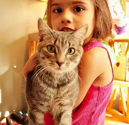 3岁小萝莉照顾救治猫咪,网友别人家的小孩总是很优秀