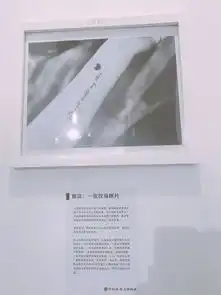成都这座失恋博物馆,看哭好多人