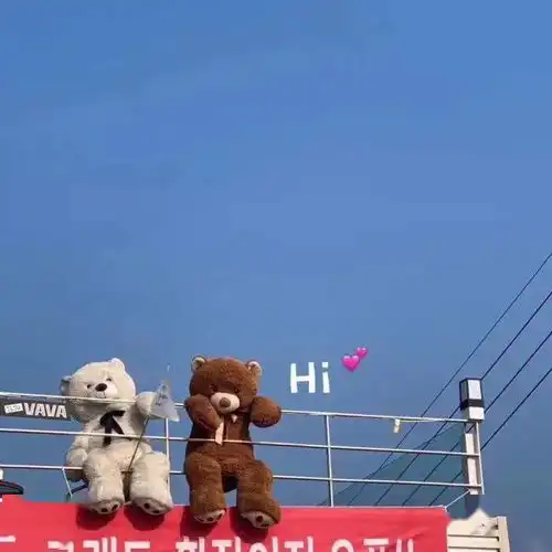 背景图早上好偷我蚂蚁能量揍我小鸡的人除外