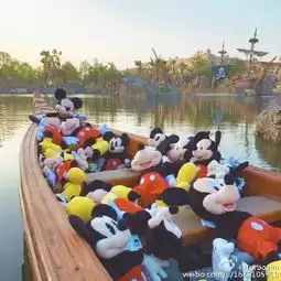 第一批体验上海迪士尼的人,已哭晕在厕所