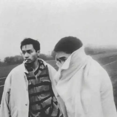 有哪些高逼格的欧美情侣头像