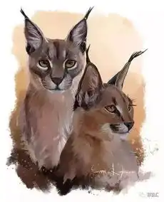 可爱的猫咪插画,快要被萌化了