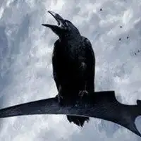 黑暗恐怖乌鸦微信头像微信头像图片大全