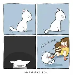 和猫住在一起是什么感觉