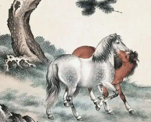 12生肖谁是操心命,谁是富贵命,太准了