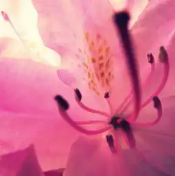 小清新图片唯美lomo治愈系带字美女图片