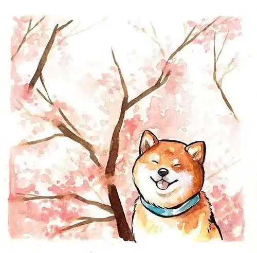 今天起,床以外都是远方科技频道