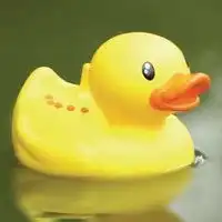 卡通小鸭子头像微信头像图片大全