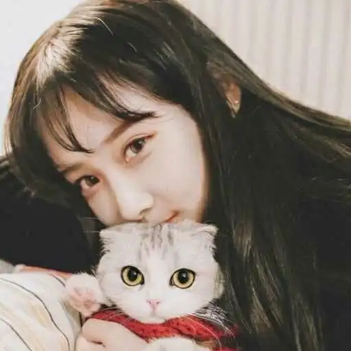 欧美系头像女抱猫摊开