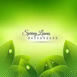 高清绿色美丽背景素材素材下载43734373像素psd格式90设计